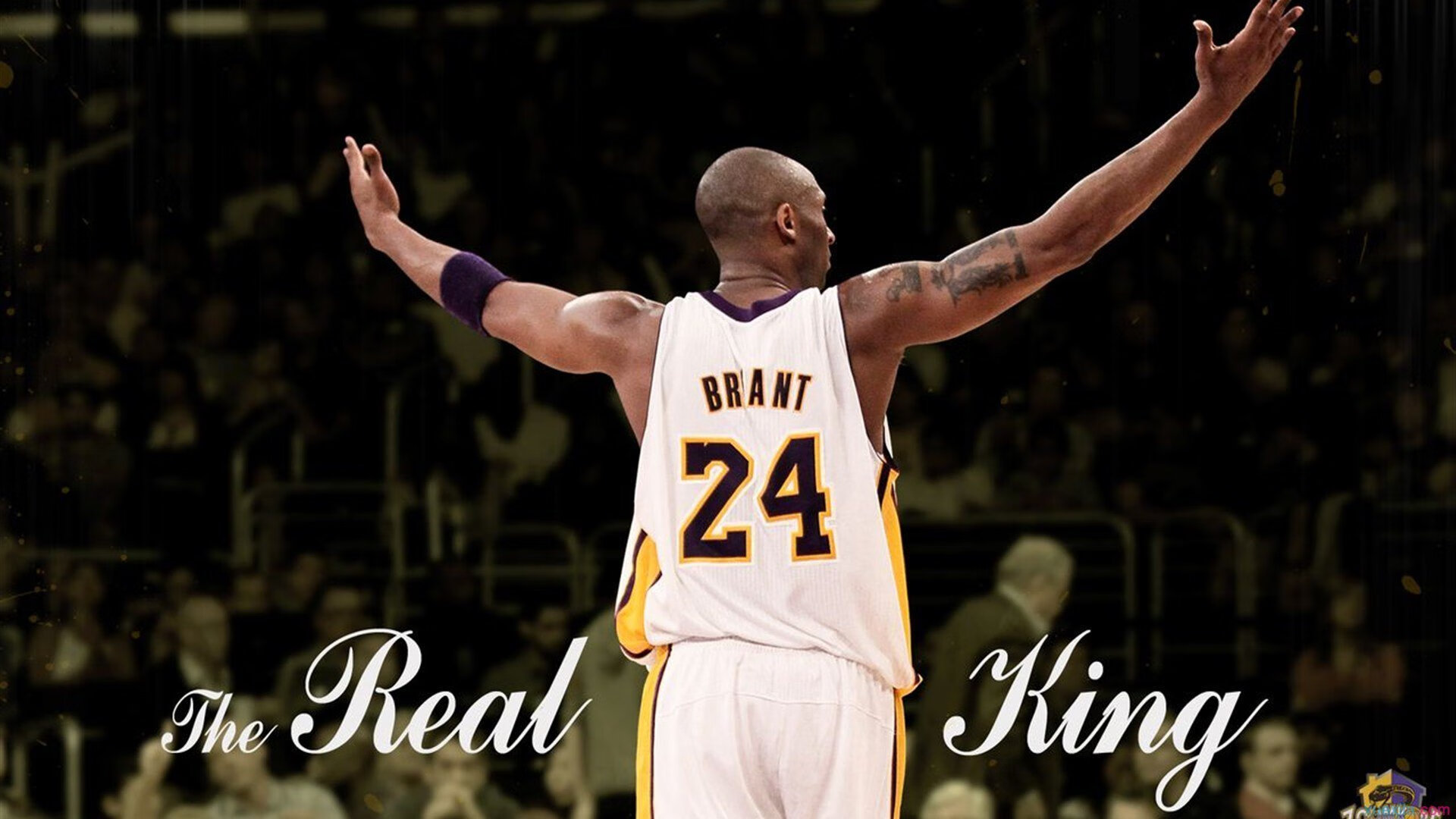 -今夜国王杯焦点战！广厦男篮迎战洛杉矶湖人，爆冷或上演